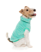 Turtle Teddy 24 Sweater - Teal
